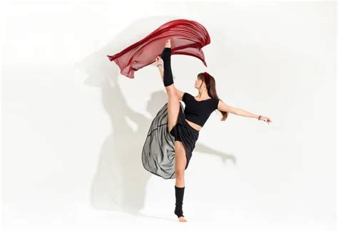  Danseuse Agile : Découverte de la Dynamique Fascinante des Dermapteres!